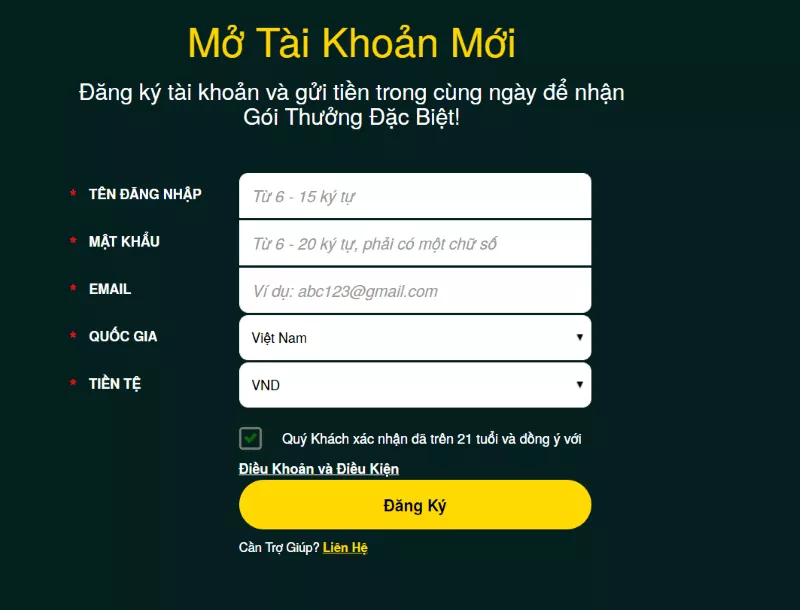 Hướng dẫn đăng ký V9bet cho người mới chơi 8 nhập thông tin đăng ký v9bet