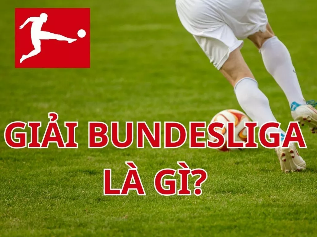 Giải Bundesliga là gì? Thể thức thi đấu của giải bóng đá Đức mới nhất 21 giai bundesliga la gi