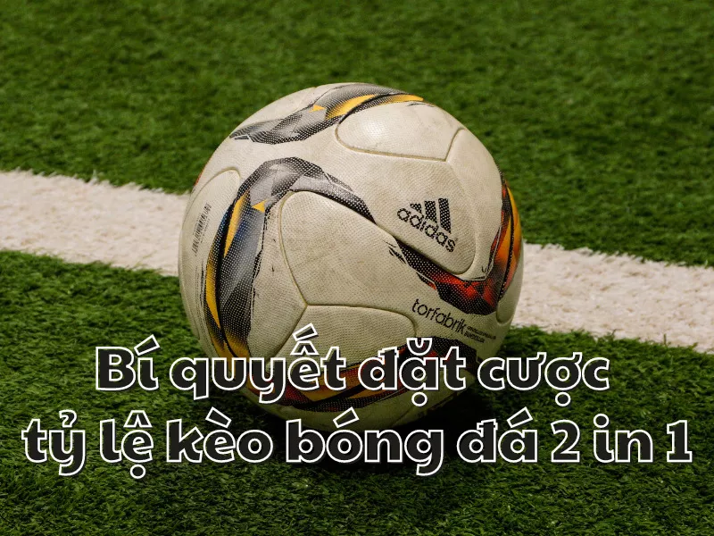 Tỷ lệ 2 in 1 là gì? Cách chơi tỷ lệ bóng đá 2 in 1 cực hiệu quả 7 Bí quyết đặt cược tỷ lệ kèo 2 in 1 hiệu quả
