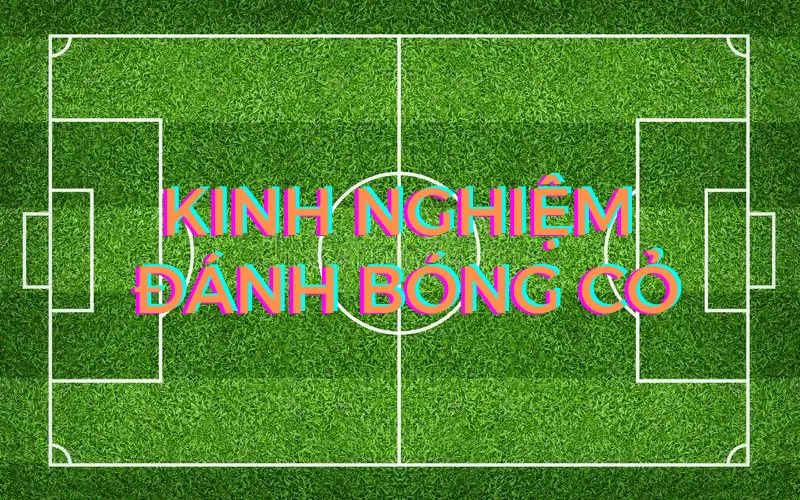 Bóng cỏ là gì? Chiến thuật đánh kèo bóng cỏ đỉnh cao 6 Kinh ngiệm đánh bóng cỏ