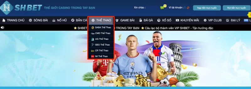 Web cá cược SHBet - Hướng dẫn chơi cá độ bóng đá Shbet chi tiết 46 Truy cập trang cá độ bóng đá Shbet