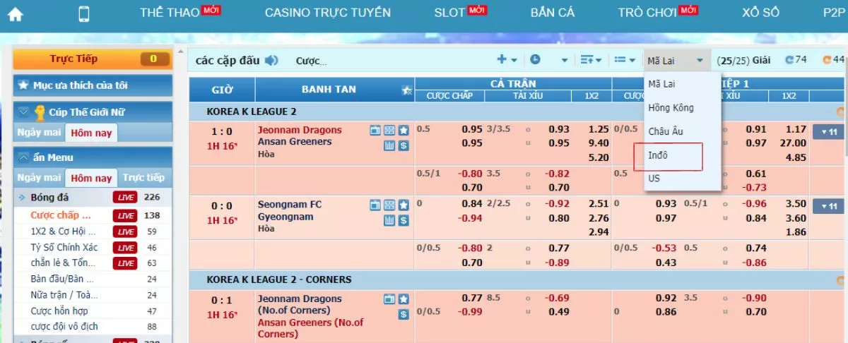 Tỷ lệ cược indo là gì? Cách tính kèo Indonesia chuẩn 100% 17 Chọn đề xuất tỷ lệ cược Indo