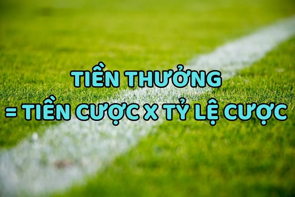 Kèo Tài Xỉu 1.75 là gì? Kinh nghiệm đánh kèo Tài Xỉu 1.75 luôn thắng 6 Cách tính tiền kèo 1.75 chuẩn nhất