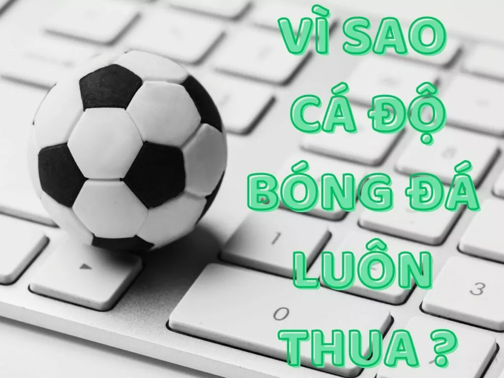Tổng hợp top nguyên nhân vì sao cá độ bóng đá luôn thua? 3 Vì sao cá độ bóng đá luôn thua ?
