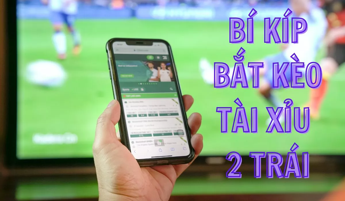 Kèo tài xỉu 2 trái - Cách đọc kèo tài xỉu 2 trái chính xác 5 Kinh nghiệm bắt kèo tài xỉu 2 trái