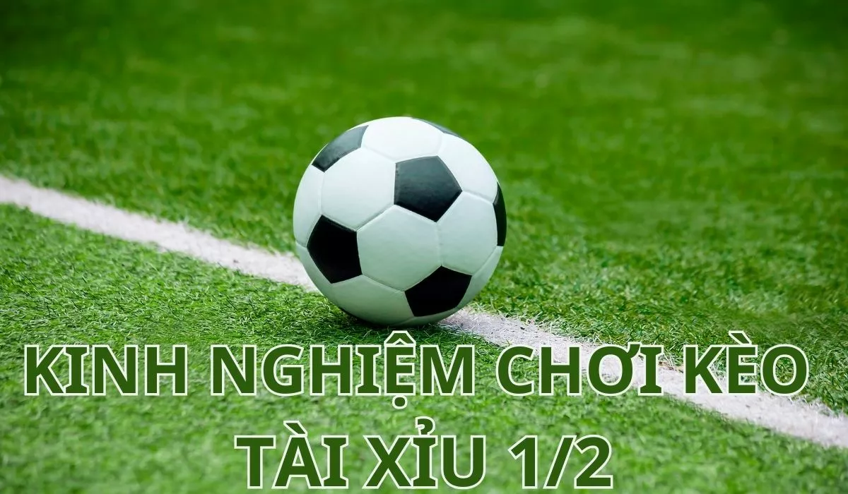 Kèo Tài xỉu 0.5 là gì? Cách soi kèo Tài xỉu 1/2 chuẩn xác 5 Kinh nghiệm chơi kèo tài xỉu 0.5