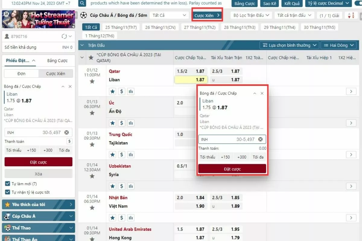 Cách cá cược Cúp bóng đá Châu Á - AFC Asian Cup trong 2 phút 13 Đặt cược vào cúp bóng đá châu á