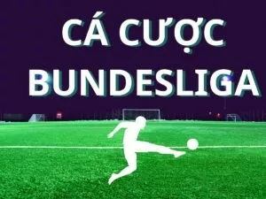 huong dan ca cuoc bundesliga tai trang ca do