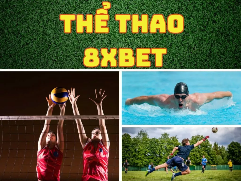 Cá cược bóng đá đỉnh cao tại Thể thao 8Xbet dành cho mọi bet thủ 3 the thao 8xbet