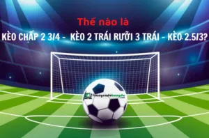 kèo chấp 2 3/4 kèo 2 trái rưỡi 3 trái