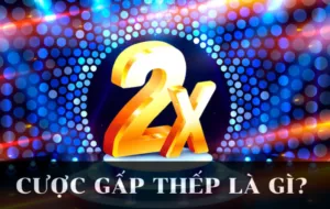 cược gấp thếp là gì