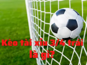 keo tai xiu 3 4 trai la gi