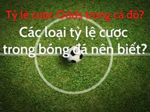 tỷ lệ cược odds trong cá độ là gì? các loại tỷ lệ cược trong bóng đá nên biết?