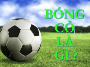 bong co la gi kinh nghiem danh bong co