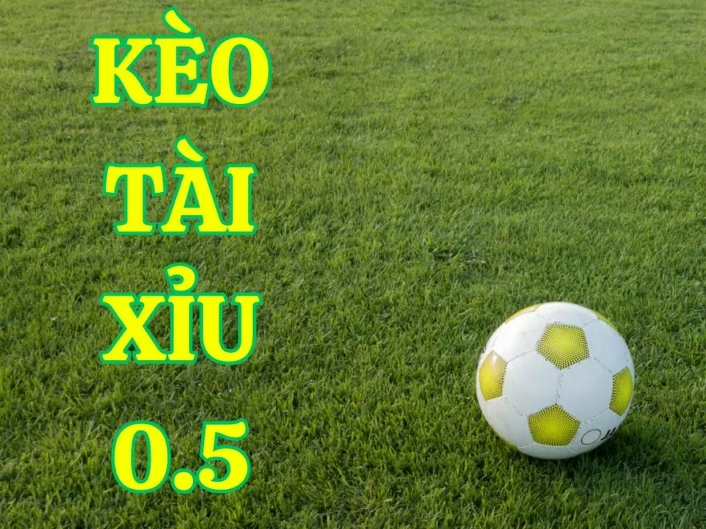 Kèo Tài xỉu 0.5 là gì? Cách soi kèo Tài xỉu 1/2 chuẩn xác 1 Kèo tài xỉu 0.5