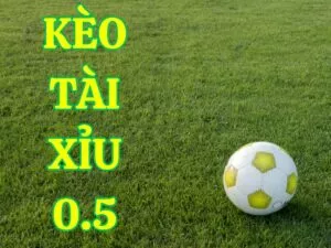 kèo tài xỉu 0.5