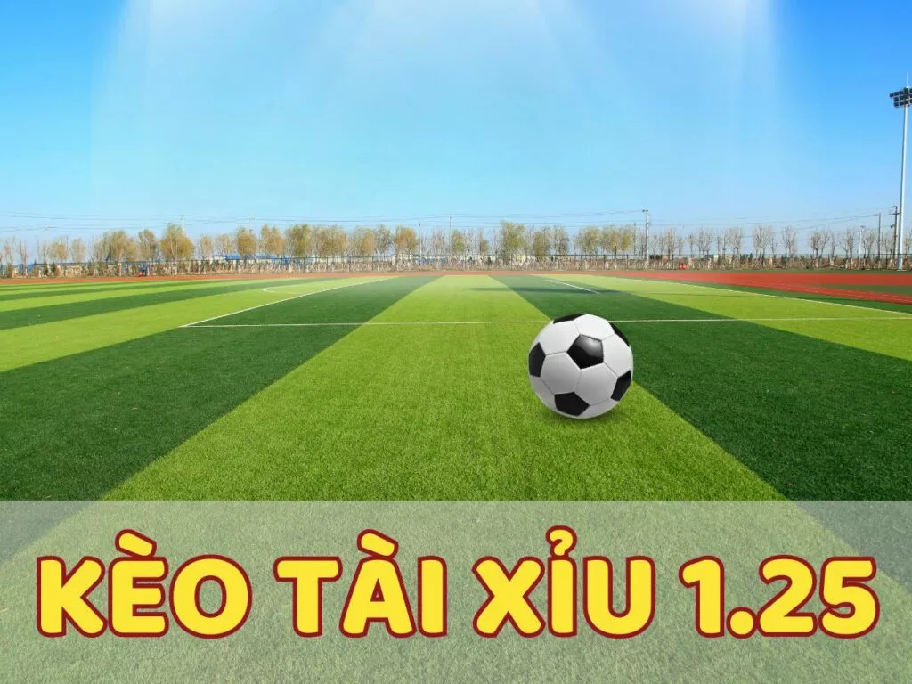 Kèo tài xỉu 1.25 trái là gì? Bí kíp chơi kèo tài xỉu 1 1/4 chuẩn 29 Kèo tài xỉu 1.25