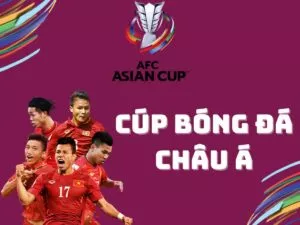 cúp bóng đá châu á asian cup